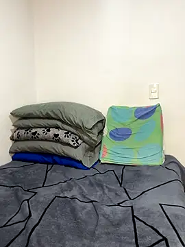 Master Leonardo online show from 11, 9, 2025