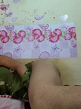 ranisanthutelugu online show from 27, 3, 2026