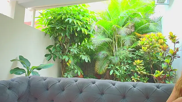 sharon greey online show from 21, 11, 2025