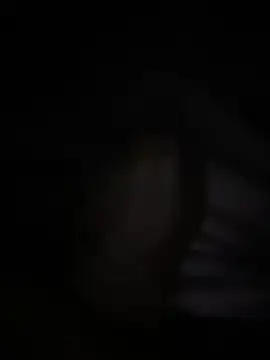 halopc online show from 3, 2, 2026