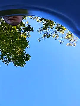 helldonk online show from 21, 9, 2025