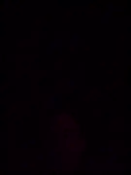 helldonk online show from 23, 3, 2026