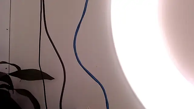 saara johnson496 online show from 24, 9, 2025