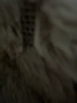 anonimgirl18old online show from 25, 2, 2026