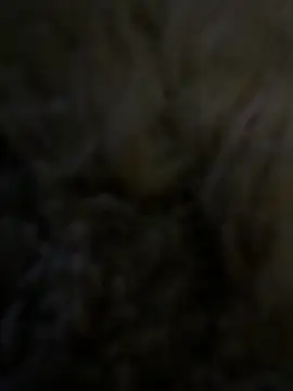anonimgirl18old online show from 29, 4, 2026