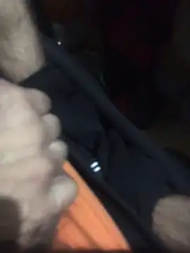 Snapshot of Luigi831 chatting on 12, 4, 2026 Luigi831 online show from 12, 4, 2026