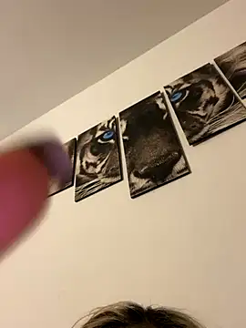 miacox 23 online show from 8, 10, 2025