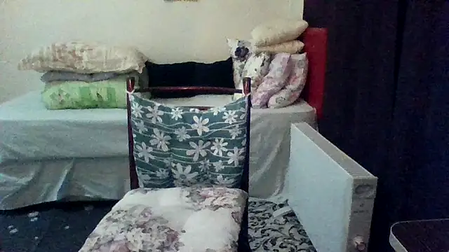 st206boy online show from 8, 3, 2026