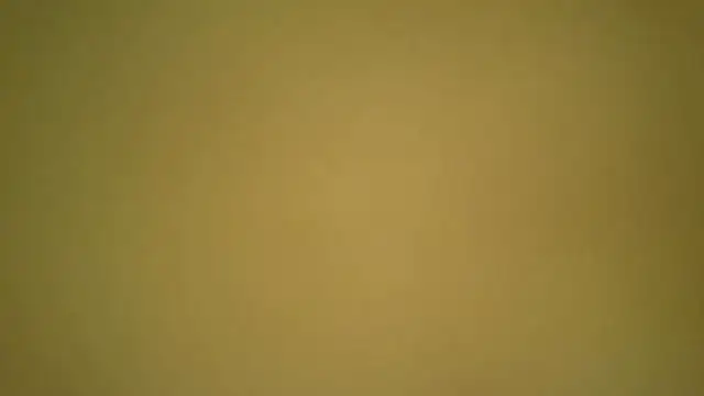 hakhakk online show from 10, 1, 2026