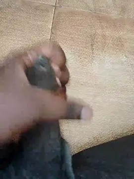 Saikishore00000 online show from 15, 9, 2025