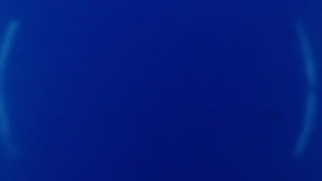 The1BBC online show from 25, 5, 2026