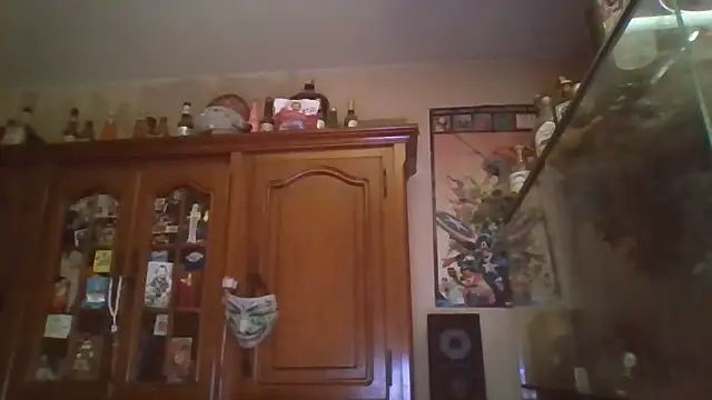 Snapshot of zipman92 chatting on 15, 1, 2026 zipman92 online show from 15, 1, 2026