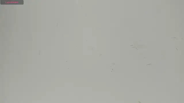 Sophia Ebony online show from 22, 6, 2026