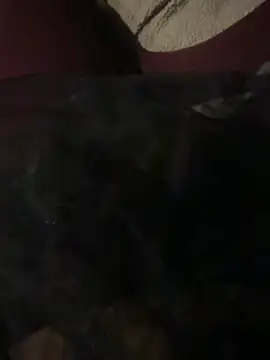 Snapshot of nenad062 chatting on 17, 12, 2025 nenad062 online show from 17, 12, 2025