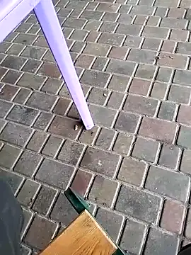 Odecca11 online show from 23, 11, 2025