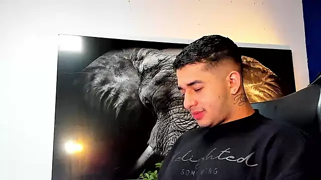 king falconer online show from 26, 11, 2025