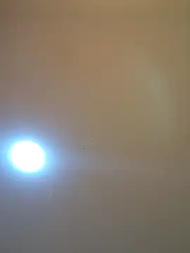 Snapshot of Oriana111 chatting on 12, 3, 2026 Oriana111 online show from 12, 3, 2026