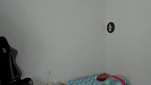 star shooting8 online show from 24, 2, 2026