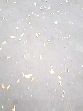 Arya Lexy online show from 26, 10, 2025