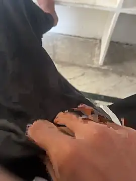 hyderabadii boi online show from 28, 11, 2025