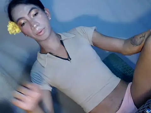 Snapshot of xyourdreamtrans chatting on 1, 2, 2026 xyourdreamtrans online show from 1, 2, 2026