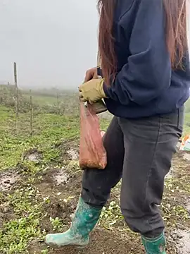 isaaa5 online show from 17, 3, 2026