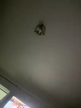 Isabelaa  online show from 28, 3, 2026