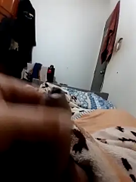 RobertoVip77 online show from 2, 11, 2025