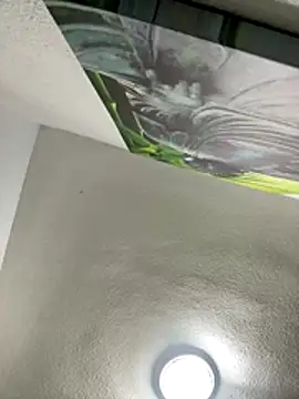 aavrdvh33 online show from 27, 11, 2025