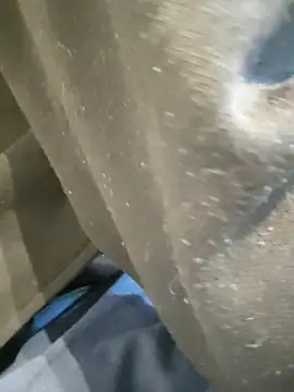 boy8540 online show from 7, 2, 2026