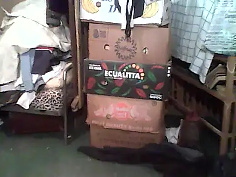 A1B3- online show from 14, 12, 2025