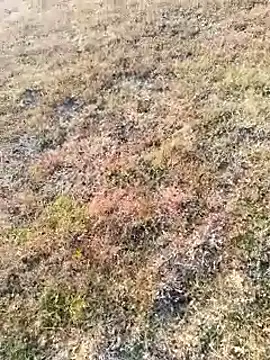 coocon2020 online show from 16, 11, 2025