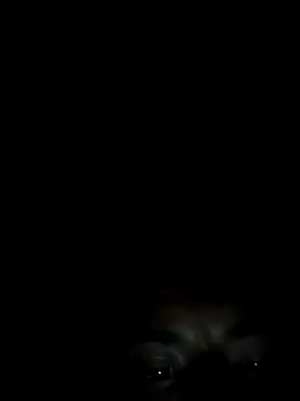 Xhimo5 online show from 28, 9, 2025