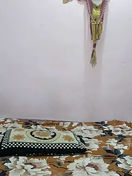 sneha bebo online show from 1, 4, 2026