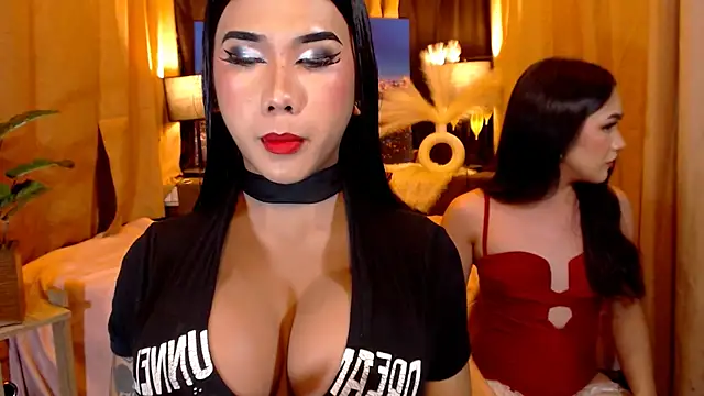 TRANSPORNIDOL online show from 12, 5, 2026