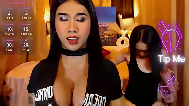 TRANSPORNIDOL online show from 22, 5, 2026