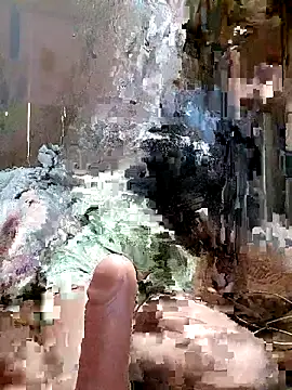 daisy will online show from 9, 3, 2026