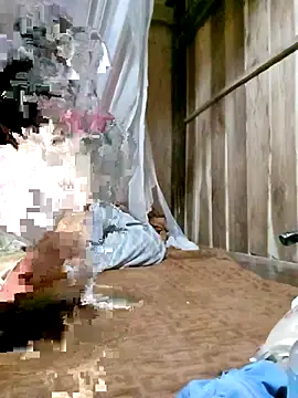 daisy will online show from 19, 3, 2026