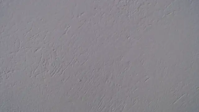 Laugreen  online show from 5, 12, 2025