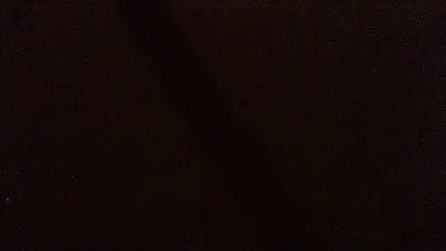 pietje1991 online show from 3, 3, 2026