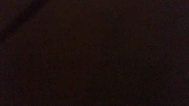 pietje1991 online show from 1, 5, 2026