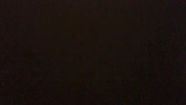 pietje1991 online show from 14, 6, 2026