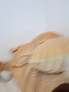 Blackpanther0115 online show from 3, 10, 2025