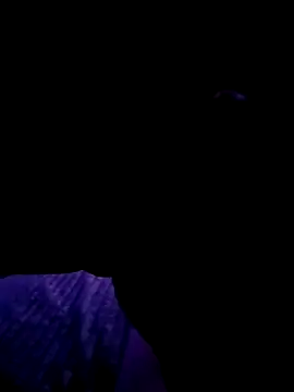 Thoma9034 online show from 23, 10, 2025