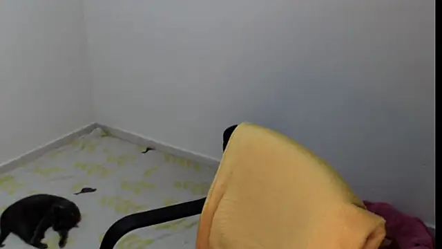 meganmiauu online show from 11, 5, 2026