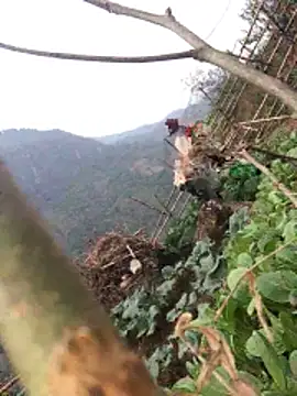 Maymay97 online show from 20, 12, 2025