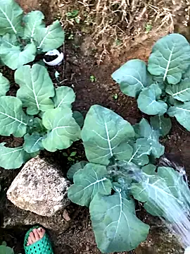 Maymay97 online show from 23, 12, 2025