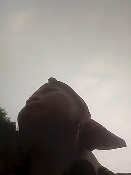 Snapshot of VangLe73 chatting on 27, 3, 2026 VangLe73 online show from 27, 3, 2026