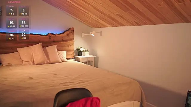 Snapshot of Nerissa_xo chatting on 22, 2, 2026 Nerissa xo online show from 22, 2, 2026