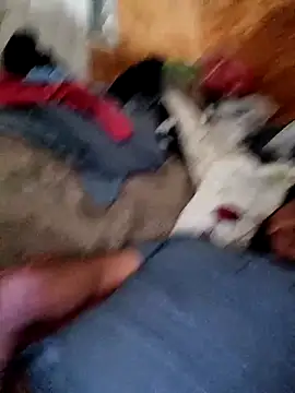 alber907 online show from 4, 2, 2026